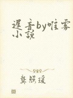 迟音by唯雾的小说