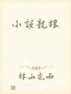 小说龙根