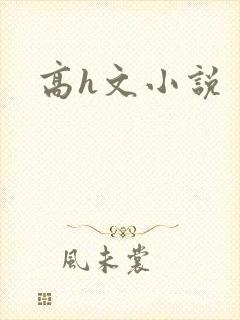高h文小说