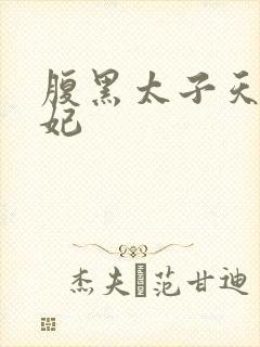 腹黑太子天降萌妃