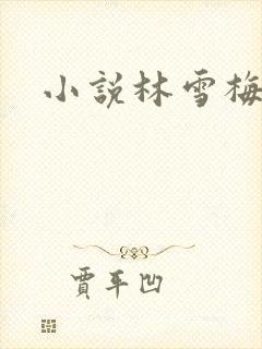小说林雪梅