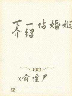 下一站婚姻剧情介绍