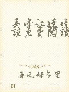 秦峰江晓晴的小说免费阅读