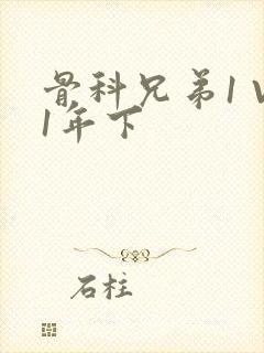 骨科兄弟1 V1年下