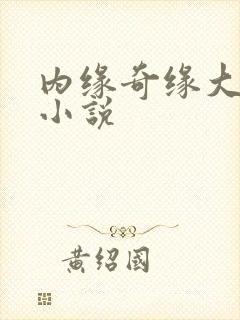 内缘奇缘大团圆小说