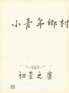 小青年乡村猎艳
