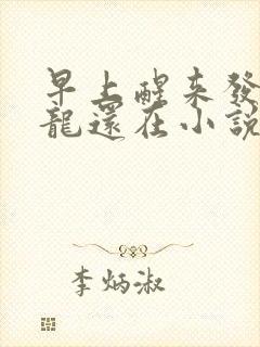 早上醒来发现巨龙还在小说