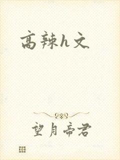 高辣h文