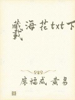 藏海花txt下载