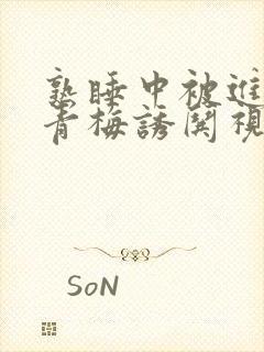 熟睡中被进了H青梅诱哄视频