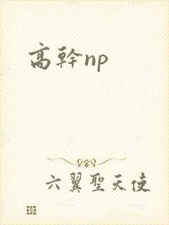 高干np