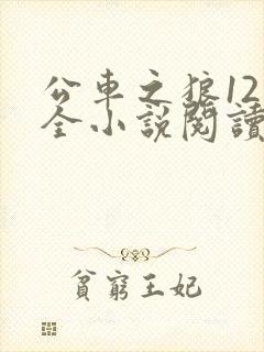 公车之狼12集全小说阅读