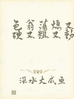 色翁荡熄又大又硬又粗又动态图