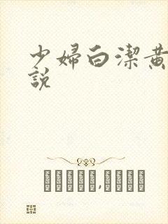 少妇白洁黄色小说