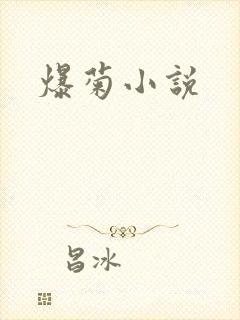 爆菊小说