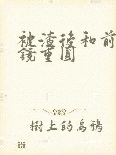 被渣后和前夫破镜重圆