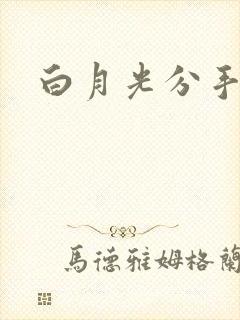 白月光分手日常