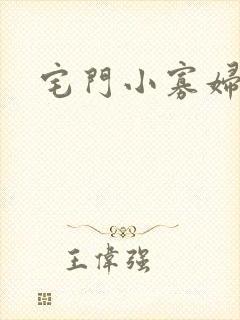 宅门小寡妇