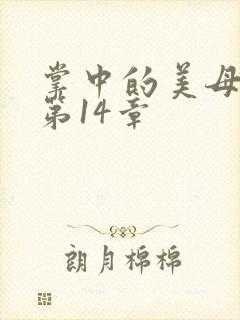 掌中的美母版主第14章