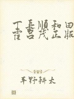 丁长顺和田晓兰霍吕茂正版