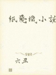 纸飞机小说