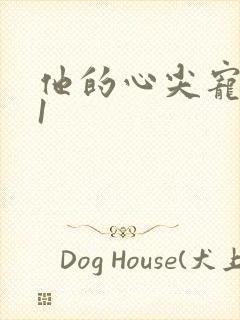他的心尖宠1v1