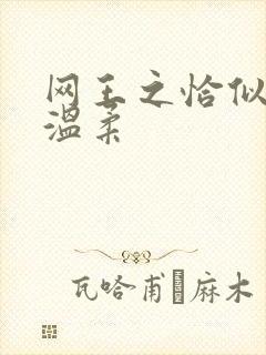 网王之恰似你的温柔