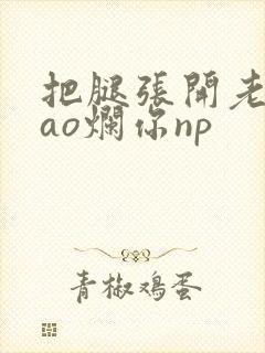 把腿张开老子cao烂你np