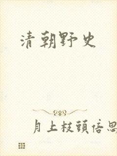 清朝野史