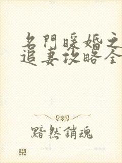 名门暖婚之权爷追妻攻略全文免费阅读