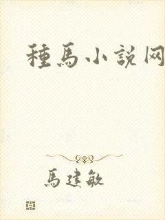 种马小说网