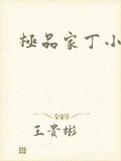 极品家丁小说