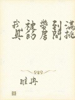 我被带到满是玩具的房间挑调作文