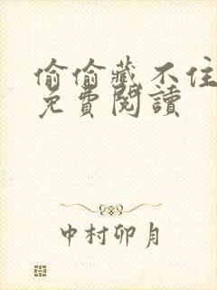 偷偷藏不住小说免费阅读