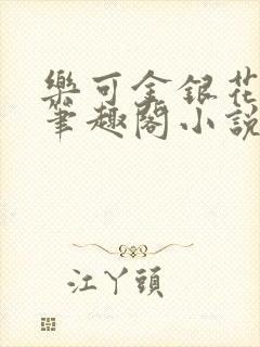 乐可金银花免费笔趣阁小说