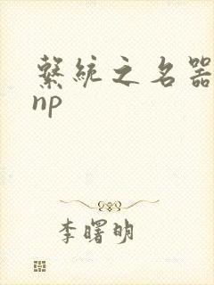 系统之名器攻略np