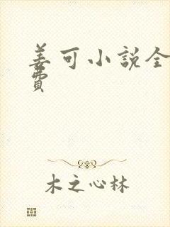 姜可小说全文免费