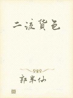 二流货色