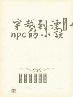 穿越到湮婸世界npc的小说