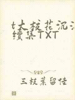 t大校花沉浮录续集TXT