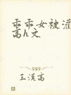 乖乖女被灌满精高h文