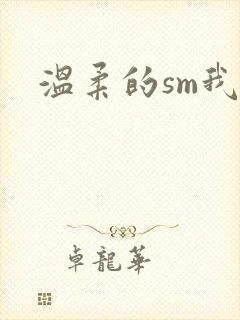 温柔的sm我