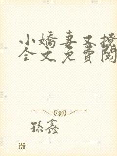 小娇妻又撩又甜全文免费阅读