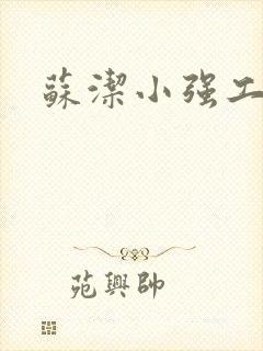 苏洁小强工地情