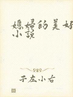 媳妇的美好时代小说