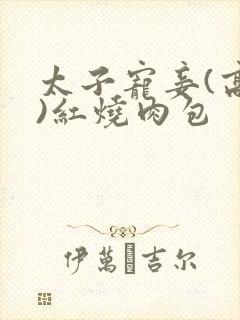 太子宠妾(高肉)红烧肉包