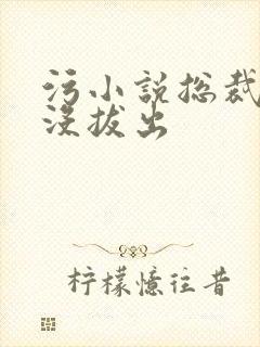 污小说总裁整夜没拔出