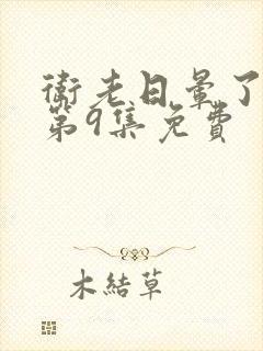 卫老日晕了淑蓉第9集免费