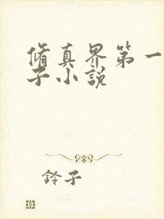 修真界第一病秧子小说