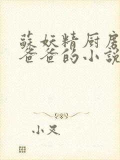 苏妖精厨房爹爹爸爸的小说